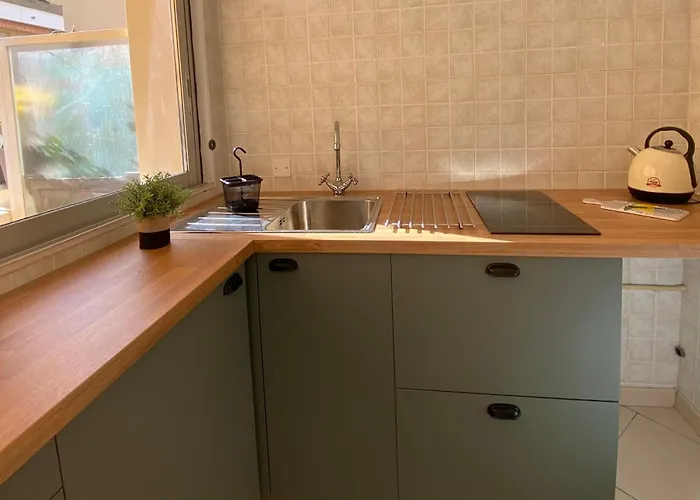 Διαμέρισμα Camille Joli Clim Centre Μεντόν